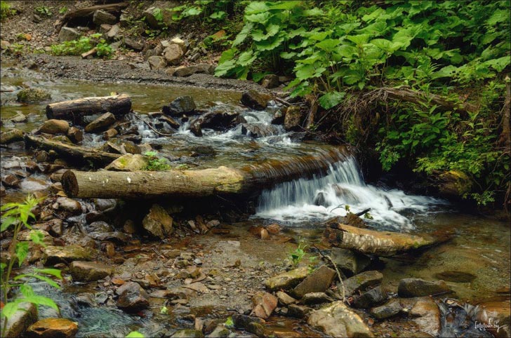 Такие ручьи в Карпатах называют потичками