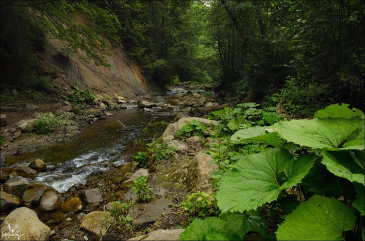 Летом в Карпатах - бесподобно